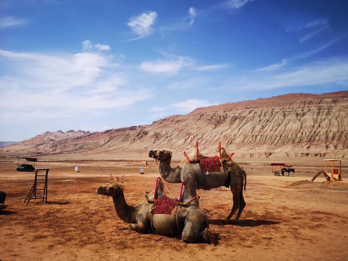 必威国际·(集团)官方-首页