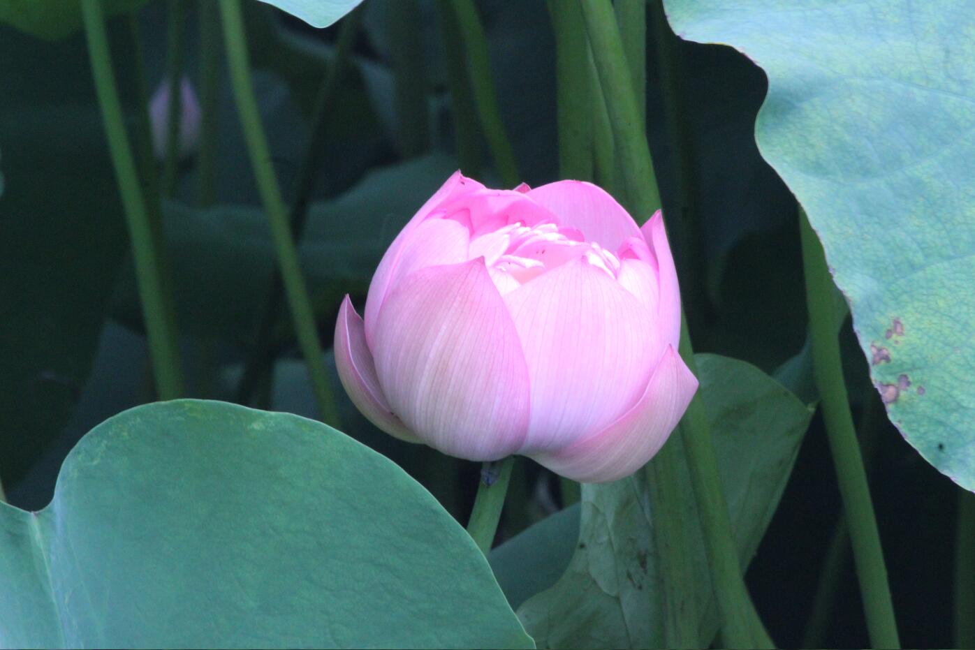 必威国际·(集团)官方-首页