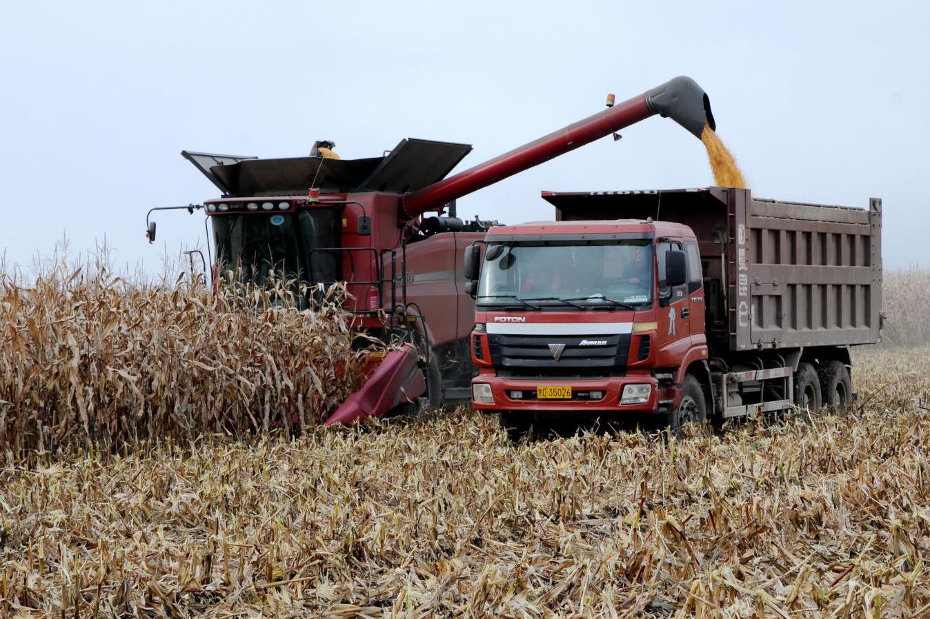 必威国际·(集团)官方-首页