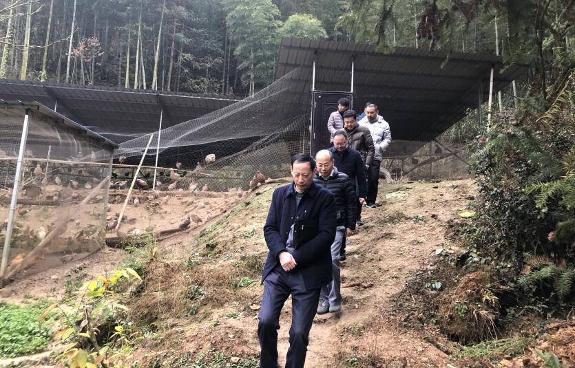 必威国际·(集团)官方-首页