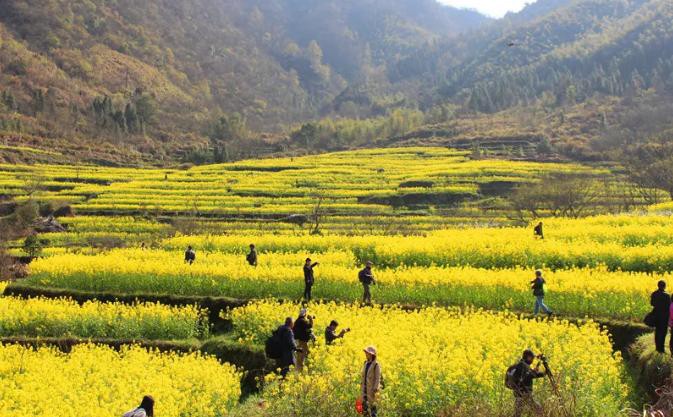 必威国际·(集团)官方-首页