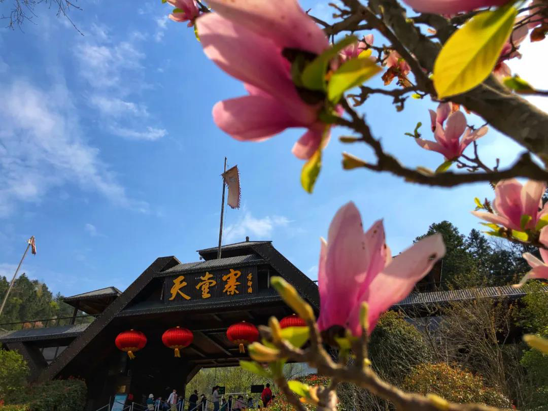 必威国际·(集团)官方-首页