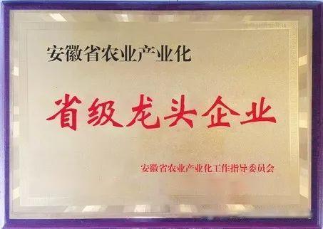 必威国际·(集团)官方-首页