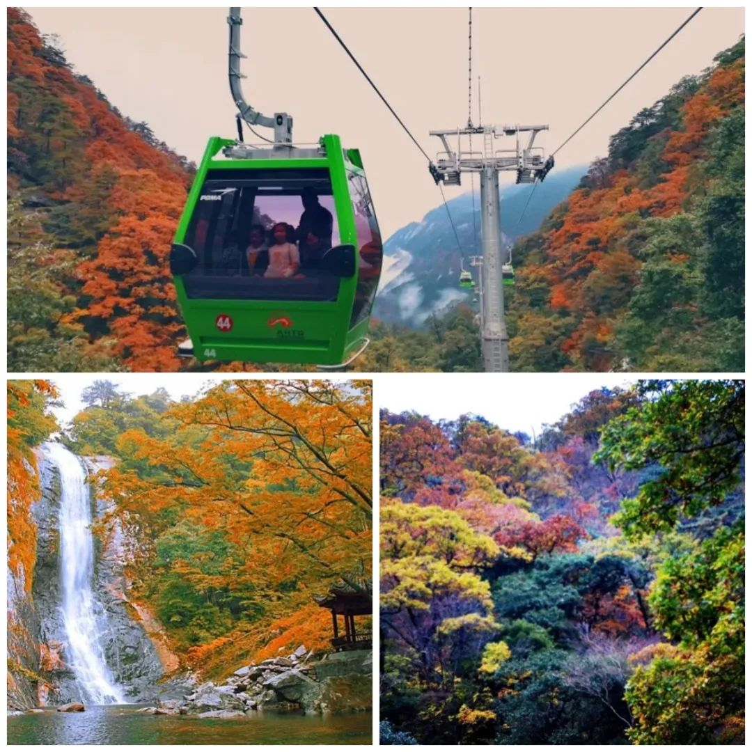 必威国际·(集团)官方-首页