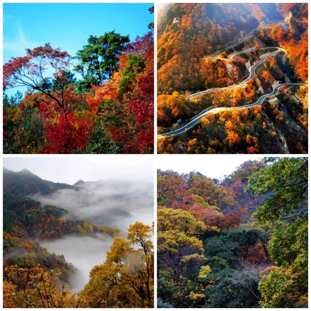 必威国际·(集团)官方-首页