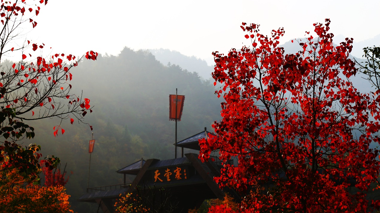 必威国际·(集团)官方-首页